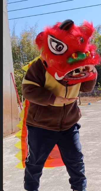 2-5 age 12inch Lion Dance Set  - Kids Outdoor Outfit recension och pris